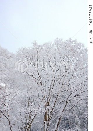 樹氷　霧氷 103178985