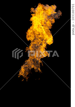 Bonfire energy that burns from gas isolated on black isolated background - Beautiful. Bonfire energy that burns from gas isolated on black isolated background - Beautiful. 103180701