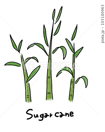 sugar cane clipart black and white