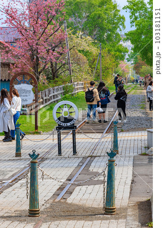北海道　小樽市　中央通り沿いの町並み（手宮線跡地） 103181151