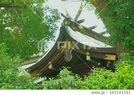 七夕にまつわる神社~多奈波太神社 本殿2 七夕にまつわる神社~多奈波太神社 本殿2 103181181