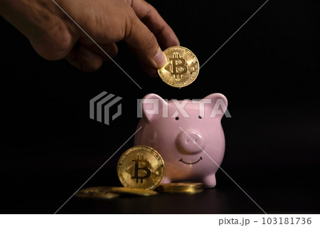 The hand putting bitcoins into pink piggybank. risk and wealth can happen in investment savings or trading in cryptocurrency innovation 103181736