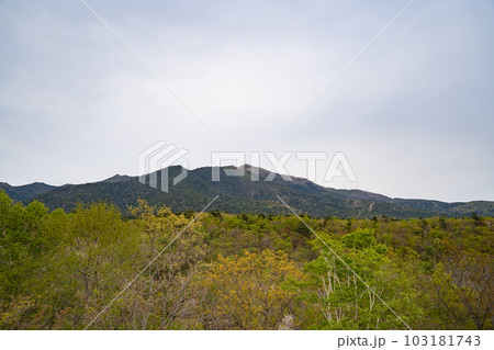 北海道 様似町 アポイ岳 103181743