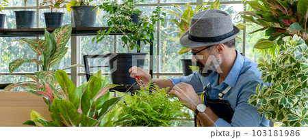 Hipster elderly men take care of the trees, pruning trees with scissors as a hobby of urban home gardening after sustainable retirement Hipster elderly men take care of the trees, pruning trees with scissors as a hobby of urban home gardening after sustainable retirement 103181986