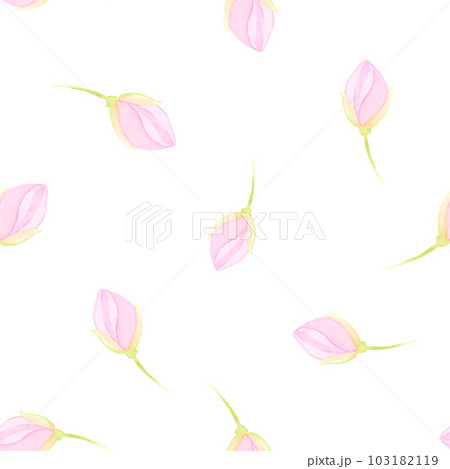 Watercolor drawing rapport of half-transparent clear purple flower blossoms with stems on white background. Nice hand drawn for wrappings, backgrounds, sticker, scrapbooking, textile printing, fabrics Watercolor drawing rapport of half-transparent clear purple flower blossoms with stems on white background. Nice hand drawn for wrappings, backgrounds, sticker, scrapbooking, textile printing, fabrics 103182119