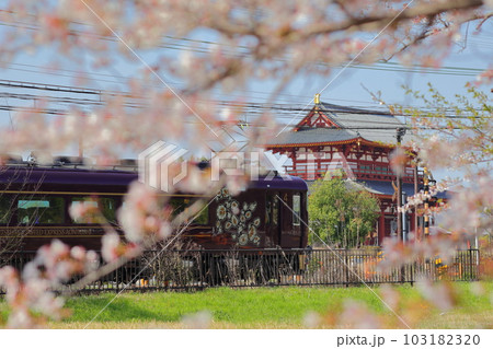 朱雀門と桜と観光特急あをによし 103182320