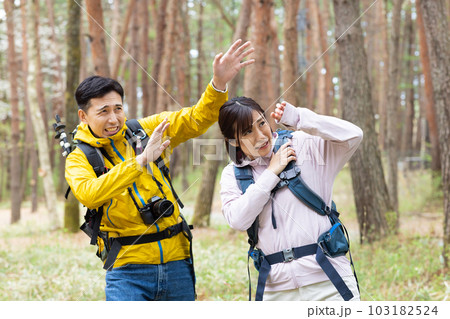 ハイキング中に蜂が飛んでくる ハイキング中に蜂が飛んでくる 103182524