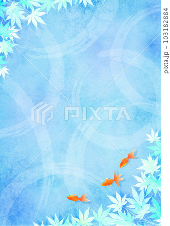 金魚と青もみじ 梅雨 和風イメージ 103182884