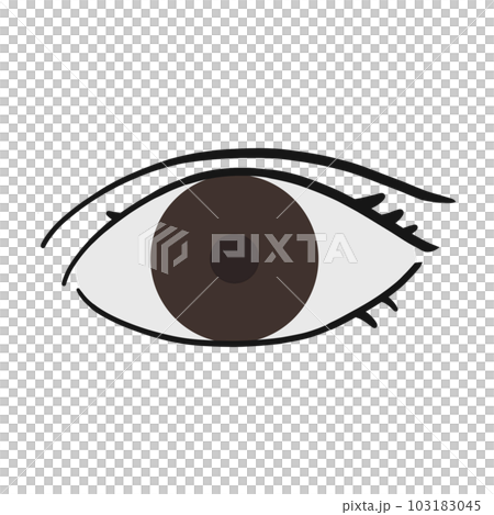 棕色的眼睛 103183045