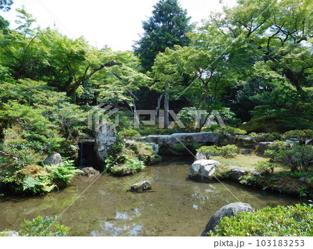 京都　修学院離宮　池 103183253