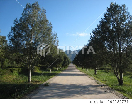中国　茶葉古道 103183771