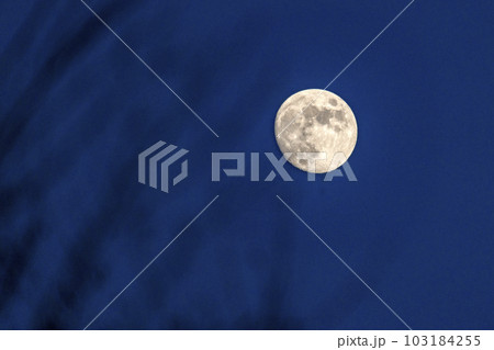 Night sky with full moon 103184255