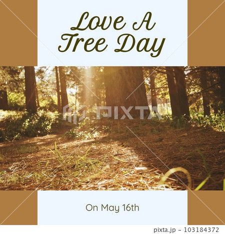 Composite of love a tree day on may 16th text and sunlight falling on trees growing in woodland 103184372