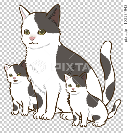 猫の親子（白黒ぶち模様） 103184942