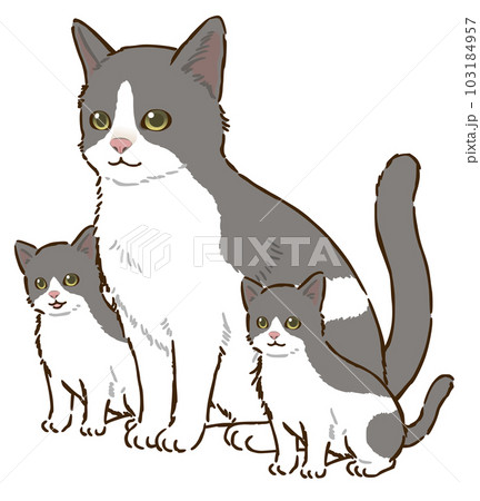 猫の親子(バイカラー) 猫の親子(バイカラー) 103184957