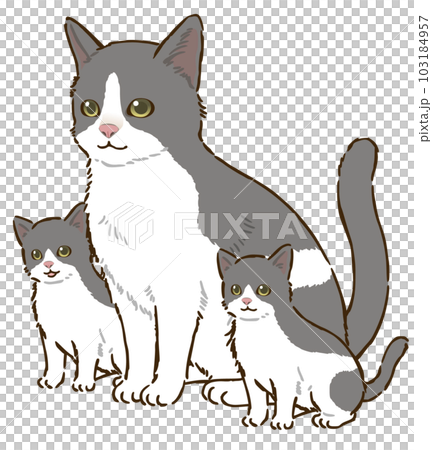 猫の親子(バイカラー) 猫の親子(バイカラー) 103184957