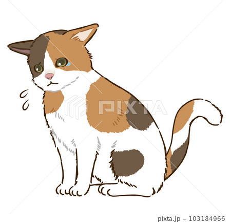 「ムサシ」猫イラスト（原画） ウメ9」猫イラスト（原画）