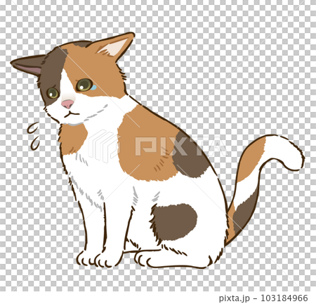 「ムサシ」猫イラスト（原画） モナリザ…ではなくモニャリザ！国内外で≪CAT ART≫を展開する