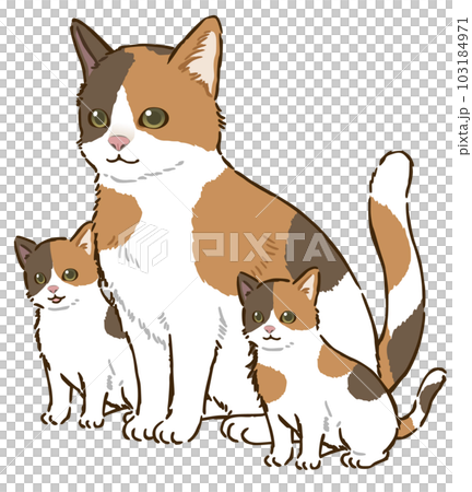 猫の親子（三毛猫） 103184971