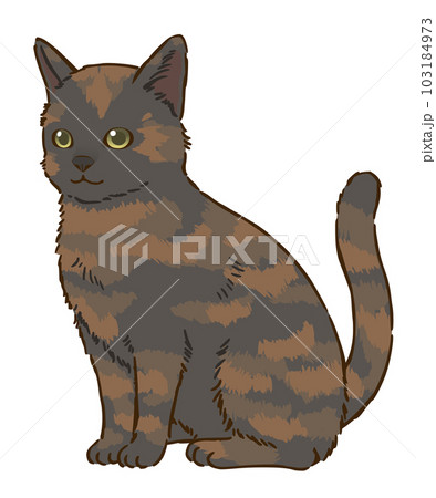 お座りする猫（サビ） 103184973