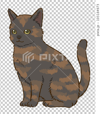 お座りする猫（サビ） 103184973