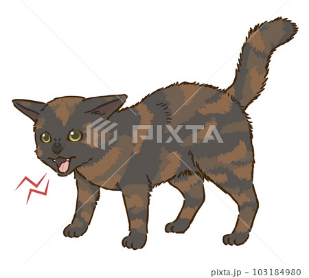 怒る猫（サビ） 103184980