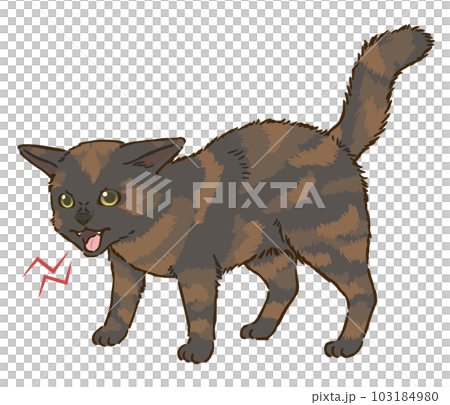 怒る猫（サビ） 103184980