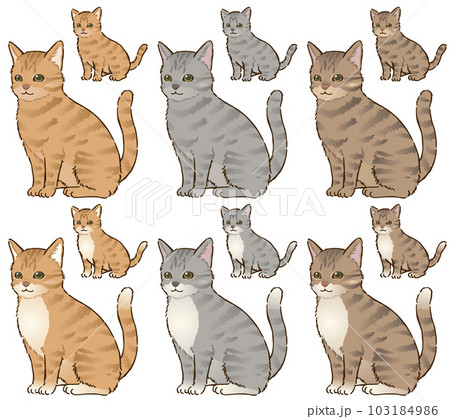 色々な毛色の猫（トラ柄） 103184986