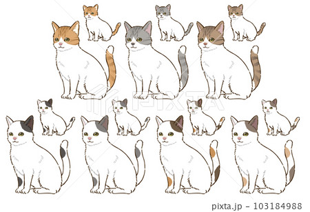 色々な毛色の猫（トビ） 103184988