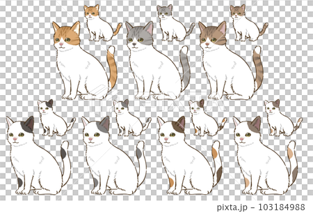 色々な毛色の猫（トビ） 103184988