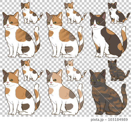 色々な毛色の三毛猫のイラスト素材 [103184989] - PIXTA