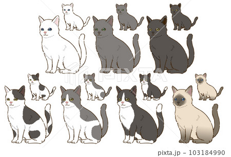 色々な毛色の猫 色々な毛色の猫 103184990