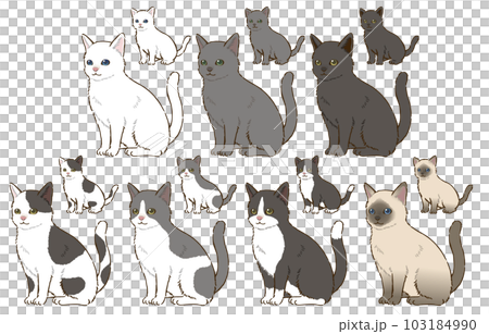 色々な毛色の猫 色々な毛色の猫 103184990