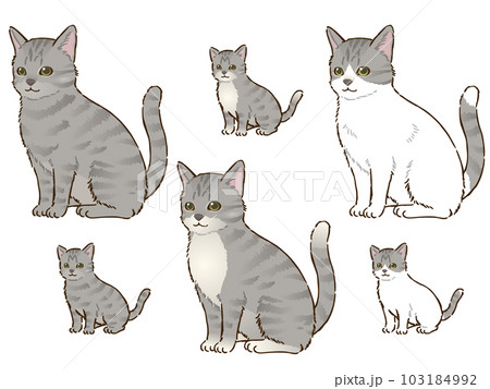 色々なサバトラ猫 103184992