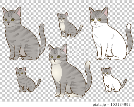 色々なサバトラ猫 103184992