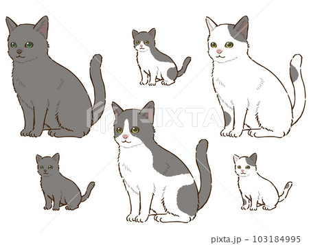 色々な灰色の猫 103184995