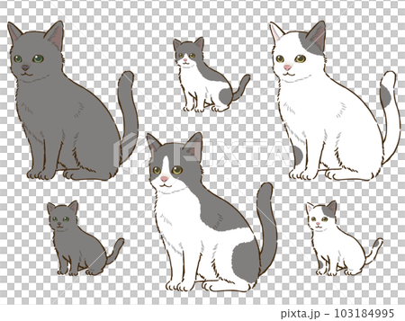 色々な灰色の猫 103184995