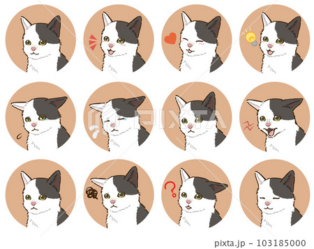 猫の表情アイコンセット（白黒ぶち模様） 103185000