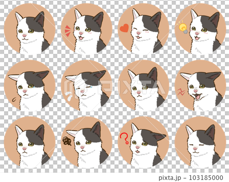 猫の表情アイコンセット（白黒ぶち模様） 103185000