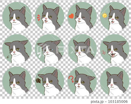 猫の表情アイコンセット（バイカラー） 103185006