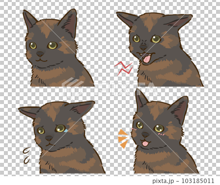 猫の喜怒哀楽セット（サビ） 103185011