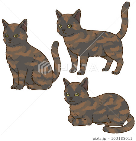 色々な姿勢の猫（サビ） 103185013