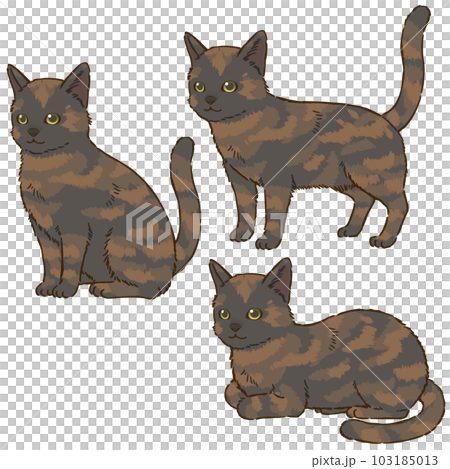 色々な姿勢の猫（サビ） 103185013