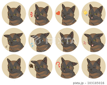 猫の表情アイコンセット（サビ） 103185016