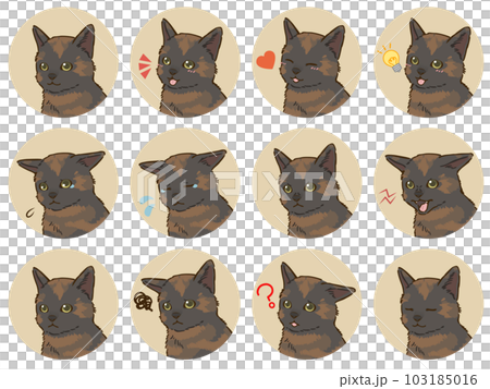 猫の表情アイコンセット（サビ） 103185016