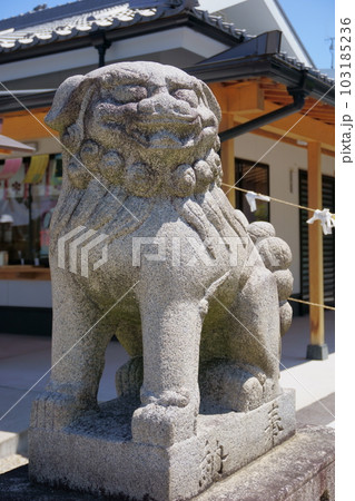 七夕伝説の残る神社～星神社　阿形こま犬1 103185236