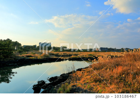 Beautiful scenery of Seongsan Ilchulbong Peak, a famous tourist attraction in Jeju Island. 103186467