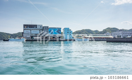 和歌山県・那智勝浦町の勝浦漁港を海上から望む 103186661