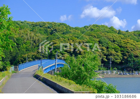 湖山池青島公園 湖山池青島公園 103186686