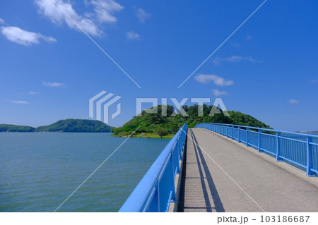 湖山池青島公園 103186687